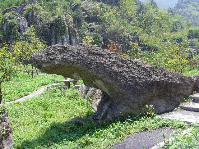 奥陶纪地质