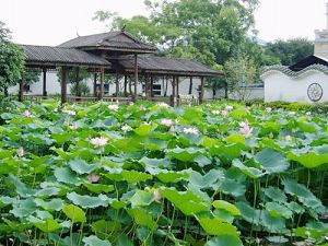 广州、佛山、肇庆、开平五天游